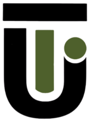 cropped digital u turn fav icon 1.png